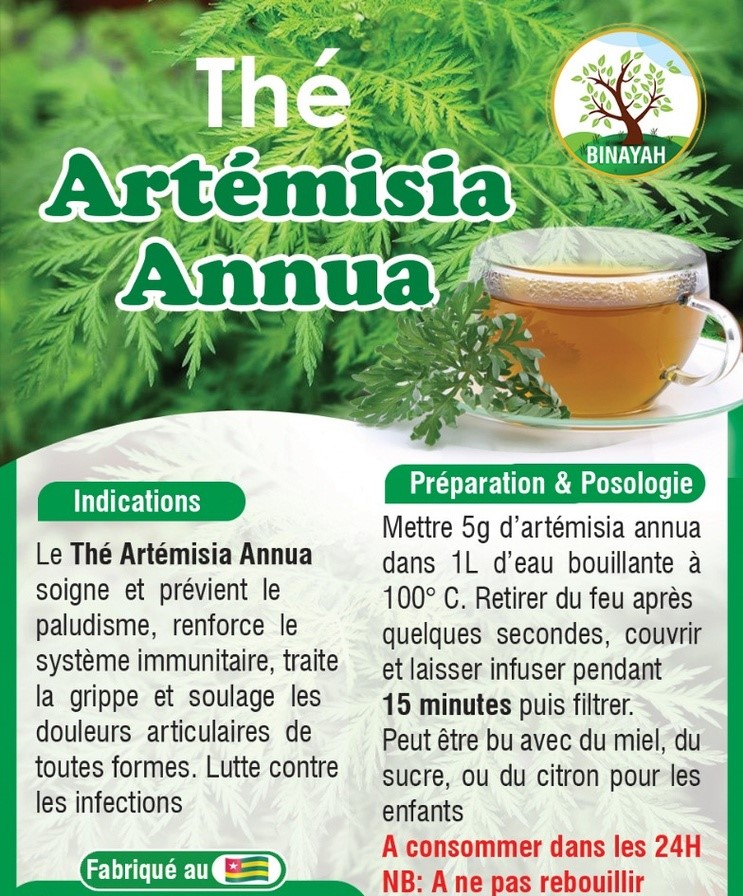 Thé Artemisia Annua Tisane_Binayah S100